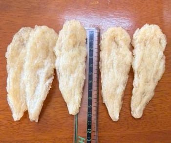 Premium Dried Fish Maw (Pangasianodon hypophthalmus) – 100% Natural, Naturally Dried, Signature Mango Leaf Shape from Glomex Import and Export Limited Company Premium Dried Fish Maw (Pangasianodon hypophthalmus) – 100% Natural, Naturally Dried, Signature Mango Leaf Shape - Glomex Import and Export Limited Company - Vietnam