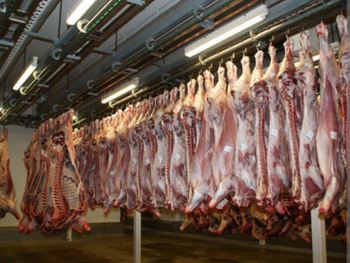Frozen meat - B Ali - Pakistan