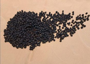 Black Pepper GL500 – product photo, Refined Black Pepper products found from trusted suppliers, wholesalers, manufacturers & exporters Listing