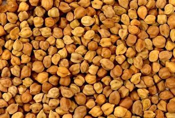 Kabuli Chickpeas - Castor Trading P.L.C - Ethiopia