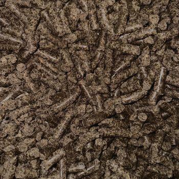 High Protein Sunflower Meal For Animal Feed Premium Quality Sunflower Meal Rich In Nutrients And Energy from AGRO AFRIQUE COMPANY LIMITED High Protein Sunflower Meal For Animal Feed Premium Quality Sunflower Meal Rich In Nutrients And Energy - AGRO AFRIQUE COMPANY LIMITED - Tanzania