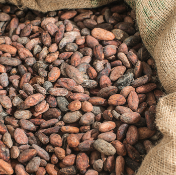High‑Grade West African Cocoa Beans Features Organic Origin West Africa Product Type Beverages, Confectionery, Nuts - DNJ AXIS COMMODITIES - United Kingdom