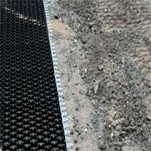 HDPE Grass Paving Grids Paver Turf Grid Gravel Grids Paver Driveway - Anhui Zhonglu Engineering Materials Co., Ltd. - China