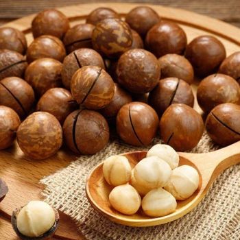 Raw Organic Macadamia Nuts High Nutrition Whole Nuts Cheap Bulk Wholesale Price - A.C.P. AGRICULTURE COMPANY LIMITED - Thailand