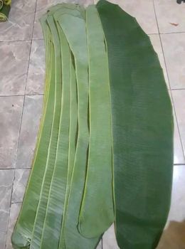 Banana leaf - Indonesian farmer - Indonesia