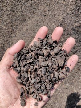 Palm Kernel Shell - CV. Anugerah Sari Alam - Indonesia