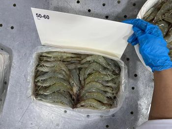 Frozen Hoso Shrimp Carefully Processed Whole Shrimp With Superior Freshness For Seafood Import And Distribution - TOSOH INTERNATIONAL - South Africa