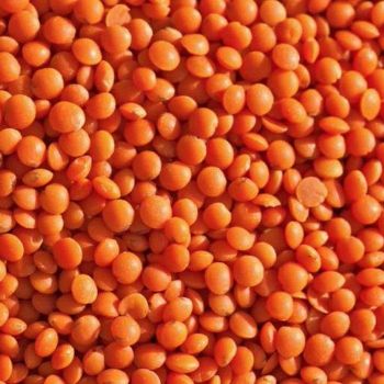 Fresh Organic Canadian Red Lentils High Quality Split Legumes Natural Whole Grain Vegan Protein Source 10kg - TRADECENTRIC LLC - United States