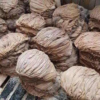 Frozen Beef Omasum Stomach Tripe Honeycomb IQF Vacuum Sealed Quality Clean Cut High Protein Low Fat Nutrient Rich Cooking Ingredient - Carla Pisselli Commercio - Brazil
