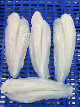 Frozen Pangasius Fillet - Hanafish - Vietnam