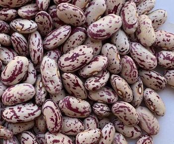 Light Speckled Kidney Beans, Kidney Beans, Red Kidney Beans, White Kidney Beans, Black Kidney beans - HELBER AGRO PRODUCT COMPANY LTD - Kenya