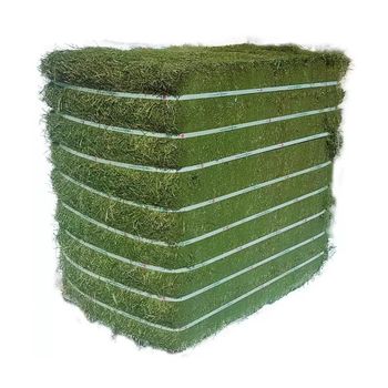 Premium Alfalfa Hay Bulk Packaging High Quality Wholesale Price from Njang Investments Limited Premium Alfalfa Hay Bulk Packaging High Quality Wholesale Price - Njang Investments Limited - Kenya