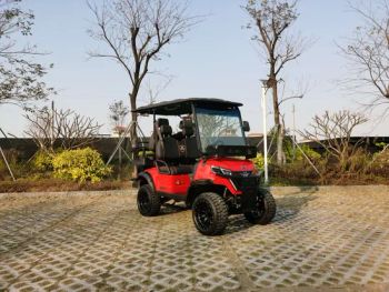 Popular Electric Golf Cart High Performance Hunting Vehicle Lifted Golf-Cart with Cheap Price - Luckyram Technology Co., Ltd - China