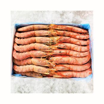 Frozen Fresh Red Shrimps Premium Export Quality With High Protein Content And Carefully Processed For International Buyers - TOSOH INTERNATIONAL - South Africa