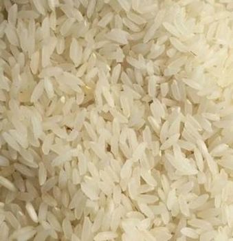 Swarna Masoori Rice - Premium Quality - AGROCARTE EXIM ENTERPRISES PVT LTD - India