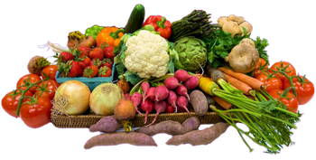 Product – product photo, Fresh Vegetable Tray products found from trusted suppliers, wholesalers, manufacturers & exporters Listing