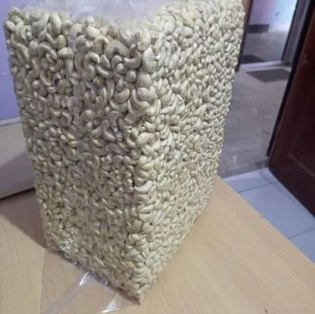 Kaju Cashew Nuts Raw Without Shell W320 W240 W450 W180 Fast Delivery OEM/ODM Packaging Vacuum Beal Bags - PLANETE COMMERCE - France
