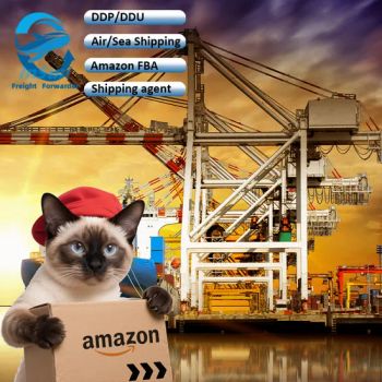 Cheapest International Customs Clearance Service DDP Shipping From China to UK USA Czech Poland Canada - YingLian Supply Chain Co., Ltd. - China