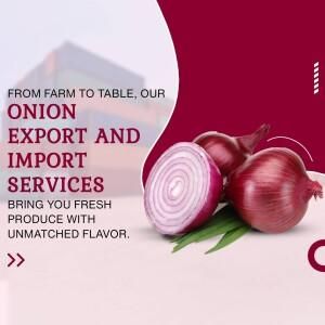 Product – product photo, Mixed Vegetables And Fruits products found from trusted suppliers, wholesalers, manufacturers & exporters Listing
