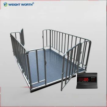 High Precision Stainless Steel Weighing Platform Floor Scales Postal Digital Weighing Scale - Qingdao Weitewosi Automation Equipment Co., Ltd - China