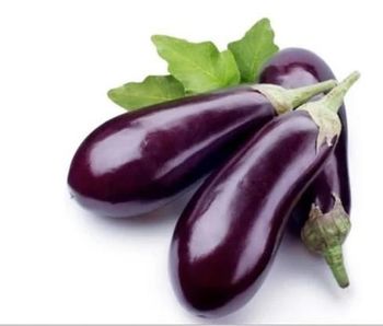 Eggplant (Brinjal) – Grade A Export Quality from India - AGROCARTE EXIM ENTERPRISES PVT LTD - India