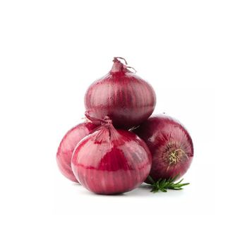 Yellow & red onion high quality best price for your need from Egyp - HIGHPROFILE AGRICULTURE SERVICES LIMITED - Tanzania