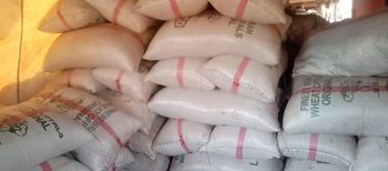 Check origin options below for my info... white quality organic Pigeon Peas from Nigeria - Ifeco prorico ventures - Nigeria