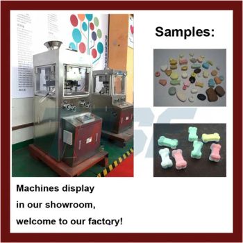 Zpw-17e Rotary Tablet Pharmaceutical Equipment for Tablet Press - Shanghai Tianjiu Machinery Manufactory - China
