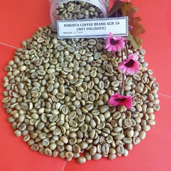 Robusta green coffee bean s16-s18, wet, clean-polish - Havigo - Vietnam