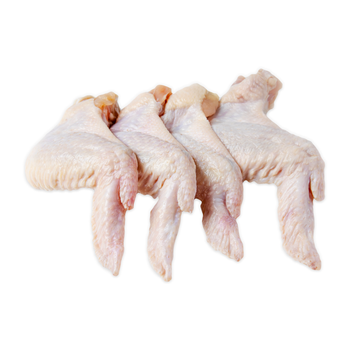 Wholesale fresh chicken wings, frozen chicken wings  - Padrao Distopico Unipessoal LDA - Portugal