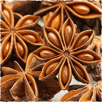 Star Anise Place of Origin Vietnam Packaging 5kg - 10kg -  Vinasamex  - Vietnam