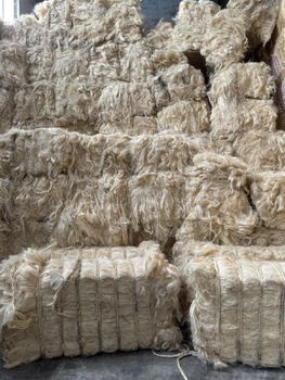 High-Quality Organic Sisal Fiber for Industrial and Commercial Use – Suitable for Yarn Spinning, Textile Cloth Manufacturing, Carpets, Mats, and Durable Marine & Agricultural Rope Making - Nedvixs Company Limited - Kenya