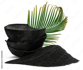 Coconut Charcoal from ADWA Solutions LLC Coconut Charcoal - ADWA Solutions LLC - United States