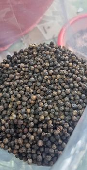 100% VIETNAMESE BLACK PEPPER – product photo, Refined Black Pepper products found from trusted suppliers, wholesalers, manufacturers & exporters Listing