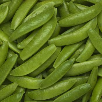Green Pigeon Peas Best Quality Fresh Whole 100% Natural Best Price Wholesale Hot Selling - AGRONOVA - United States