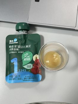 fruit puree Port Qingdao port, China Packaging Form Suction Bag Inner Bag Expansion Rate Low Shelf Life more than 12 months - Qingdao Ocean and Baby Nutrition Food Company - China