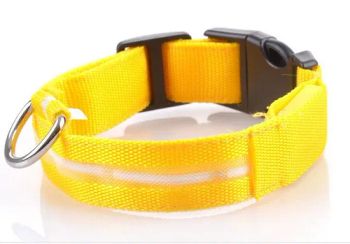 LED USB Rechargeable Flashing Dog Collars New PVC LED Pet Products for 2016 Christmas - Ningbo Amcool Plastic Product Co., Ltd. - China