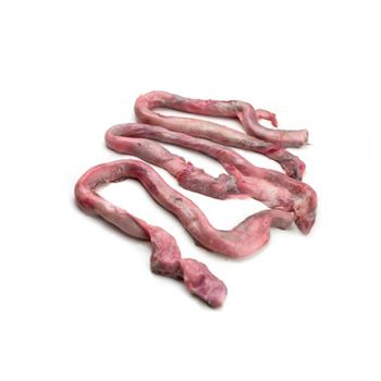 Beef pizzle available cleaned dried and frozen for pet and food use - BMU TRADING GMBH - Germany