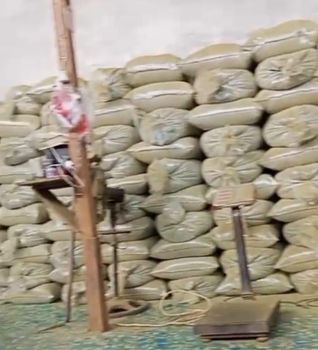 Kratom extract - PT. SAKA MEGA RAYA - Indonesia