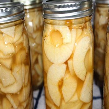 Premium Canned Apple in Syrup for Retail Stores Food Service Restaurants Everyday Family Desserts - TRADECENTRIC LLC - United States