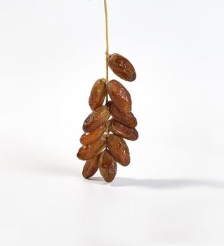 Organic Deglet Nour Whole Dates – Algeria - ALPINEA GLOBAL SL - Spain