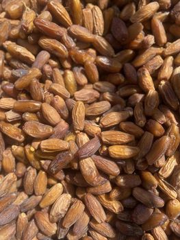 DEGHLET NOUR (HALF DRY) – product photo, Dried Whole Dates products found from trusted suppliers, wholesalers, manufacturers & exporters Listing