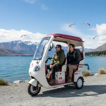 New Model Covered Electric Tricycle Three-Wheeler for Shopping and Child Transport - Tianjin Holladay Technology Co., Ltd. - China