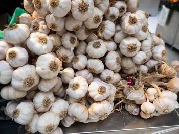 GARLIC FRESH - Aditi organic - India