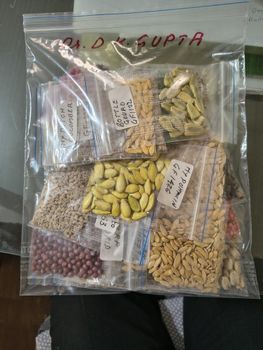 AGRO MAKI PLUS DOOEL STR NARODEN FRONT N - Freshdi