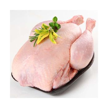 Wholesale Best Selling Chickens Frozen Whole Chicken Whole Chicken Frozen Whole Chicken from MT Trading GmbH Wholesale Best Selling Chickens Frozen Whole Chicken Whole Chicken Frozen Whole Chicken - MT Trading GmbH - Germany
