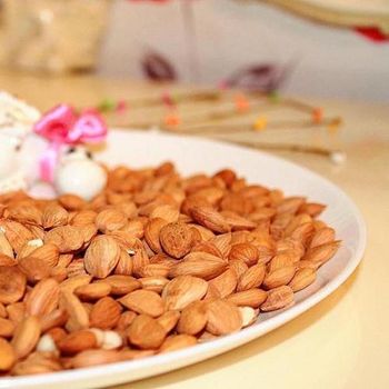Top Grade Bitter Apricot Seeds Raw Kernels for Health Uses Affordable Bulk Wholesale Deals - A.C.P. AGRICULTURE COMPANY LIMITED - Thailand