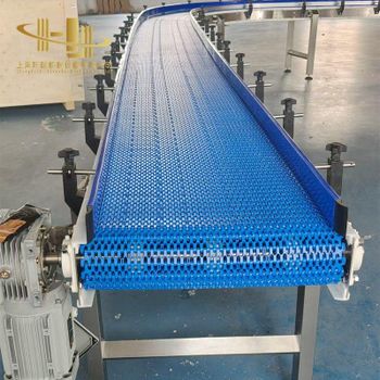 Modular Belt - Shanghai HJ Foodnbev Machinery Co., ltd. - China