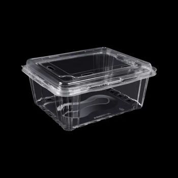 Made in China Crystal Clear Hygienic Space Saving Fruit Plastic Pet Container Fruit Fresh Tray Clamshell Box for Storage - Henan First Rise Technology Co., Ltd - China