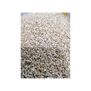 Pure canary seeds bulk wholesale available at affordable prices - MASI TRADING GMBH - Germany